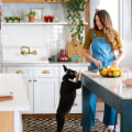 Creating a Pet-Friendly Living Space: Tips for Renters