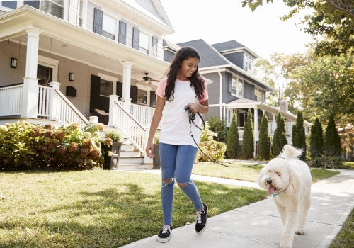 Types of Pets Allowed in Rental Properties